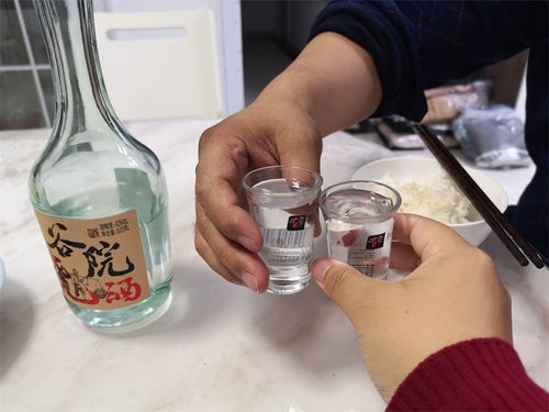 冬來天欲雪，能飲一杯無——谷小酒谷院燒酒無酒精即飲型測評